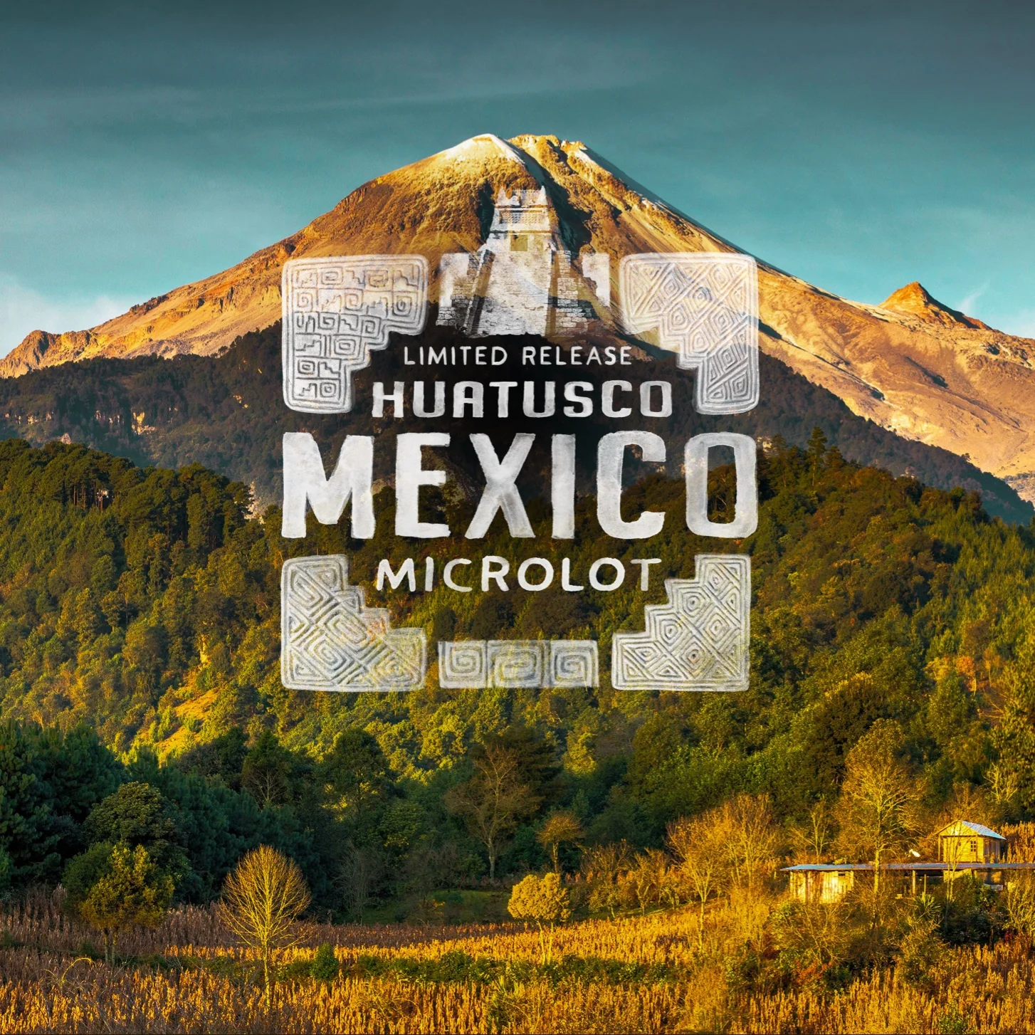 Huatusco Mexico Microlot