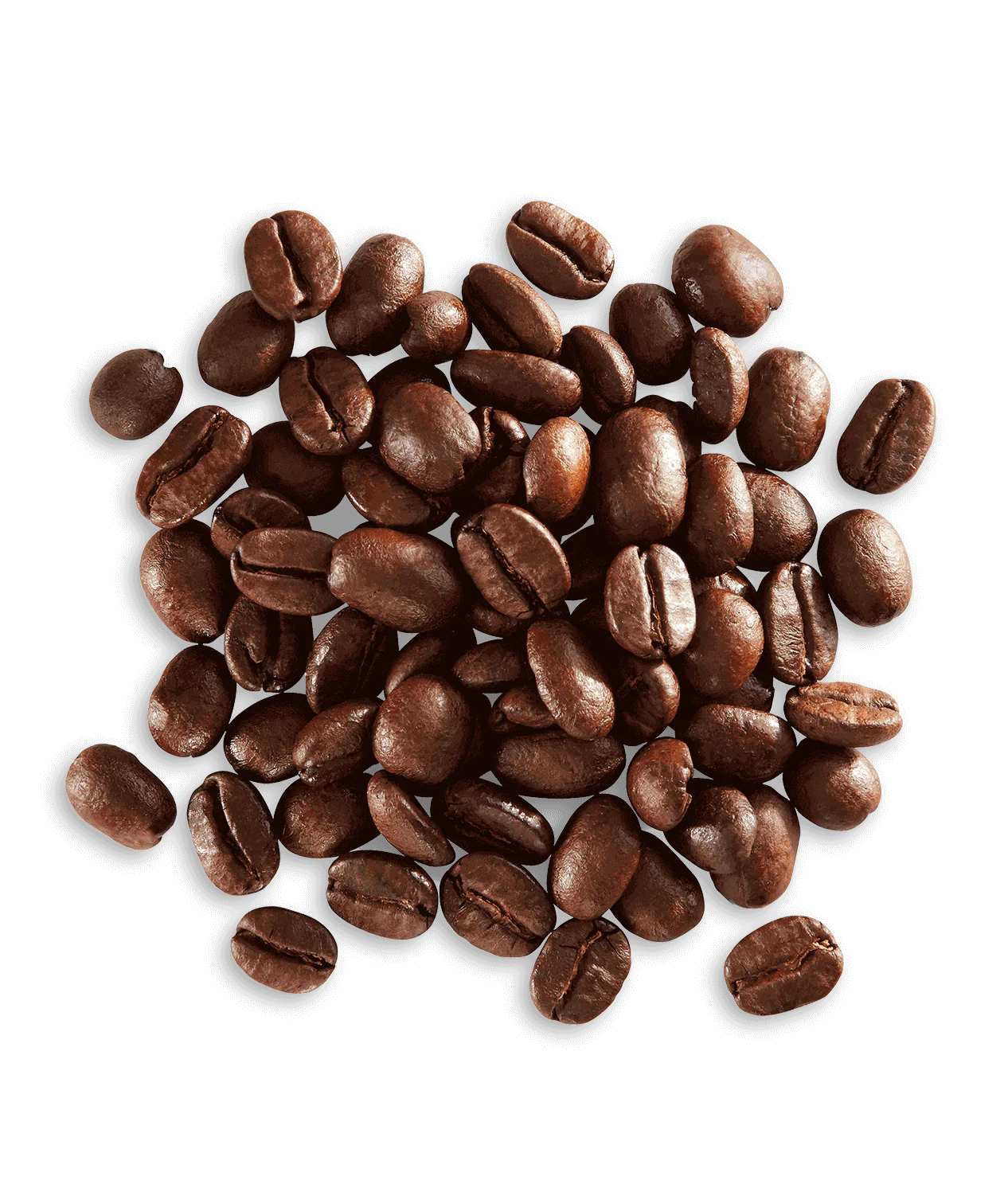 Bolivia Yungas Valley