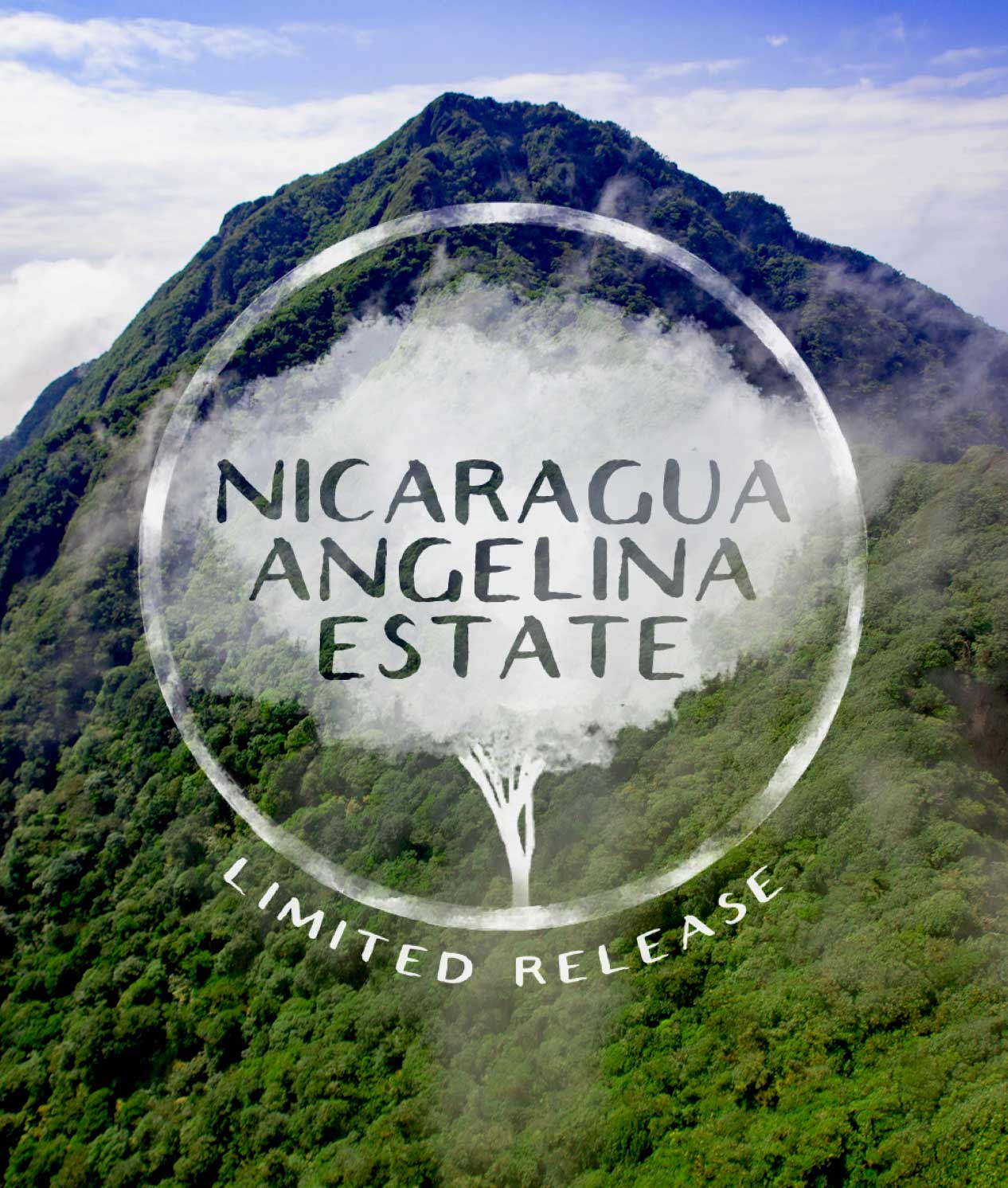 Nicaragua Angelina Estate